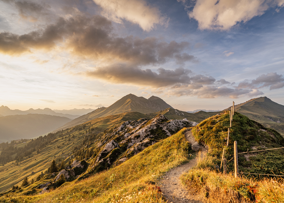 Offre spéciale d’automne